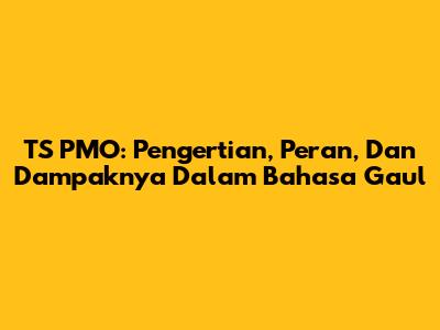 TS PMO: Pengertian, Peran, Dan Dampaknya Dalam Bahasa Gaul
